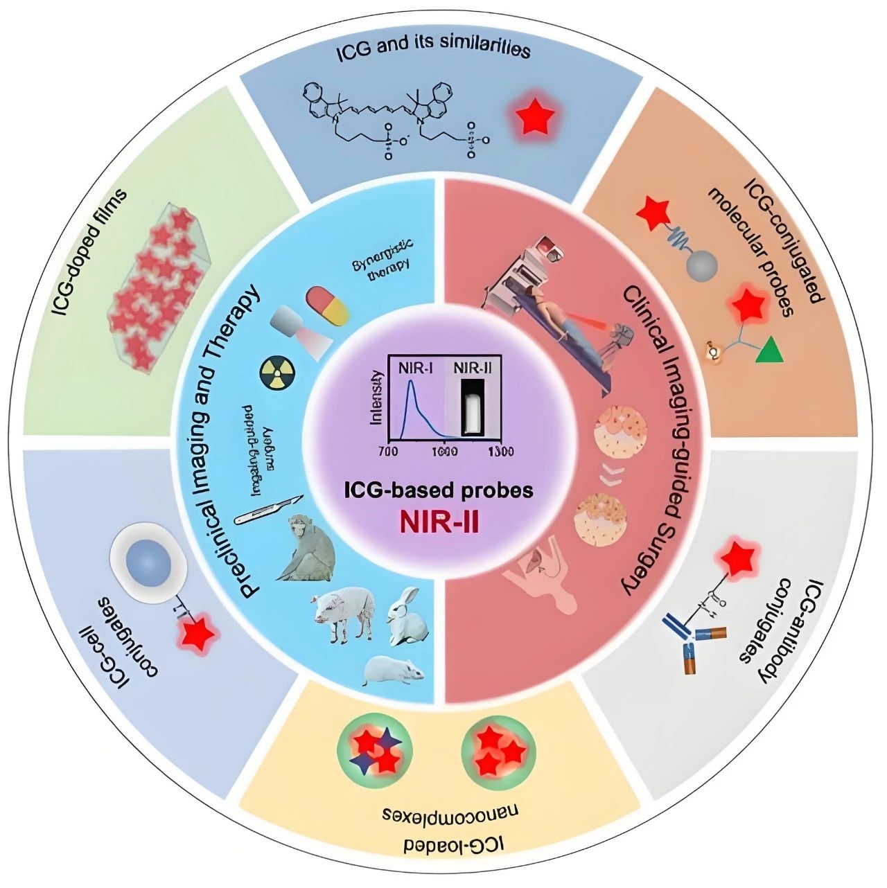 Research | ICG荧光探针用于二区荧光成像及治疗新进展