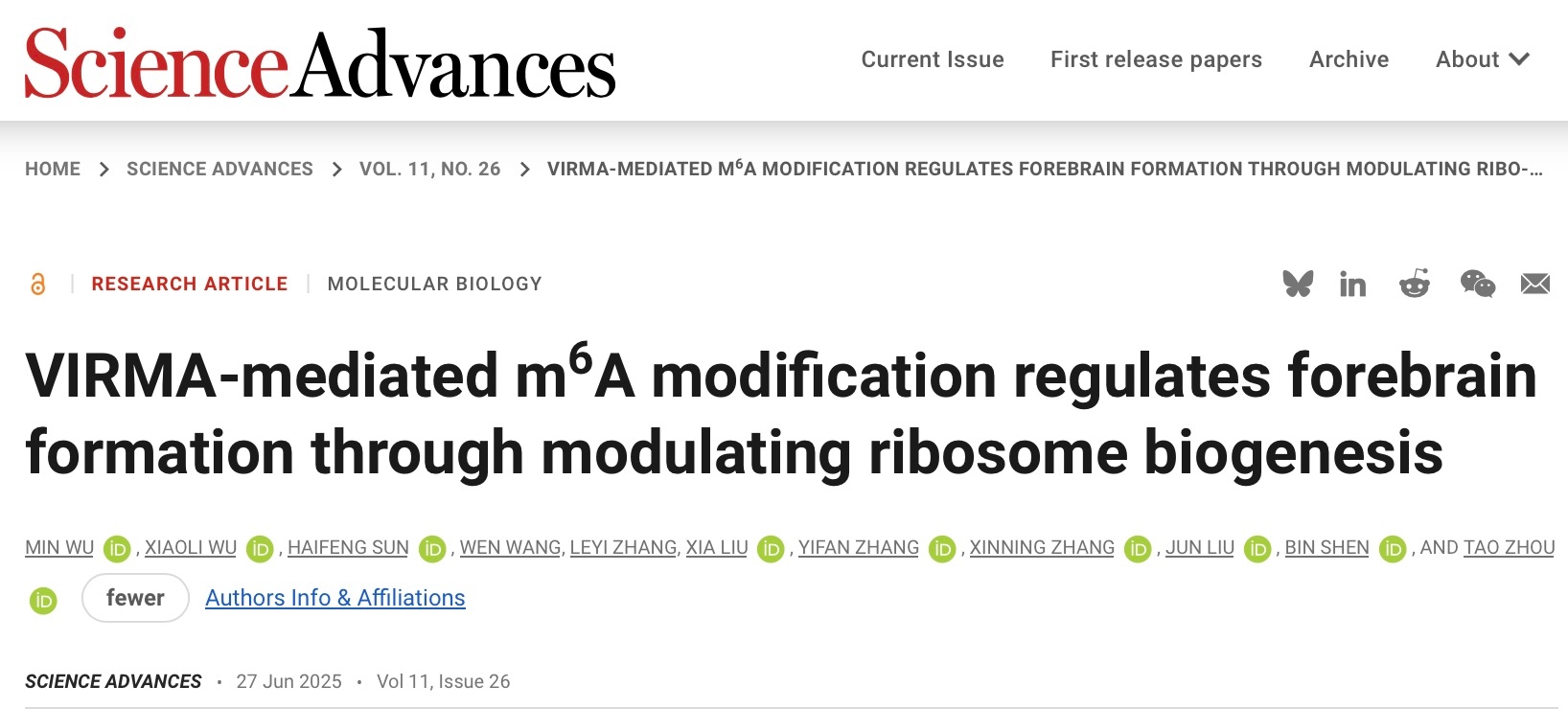 Science Advances丨深圳先进院脑所/深港脑院周涛团队合作揭示RNA m6A调控核糖体生成通路参与大脑发育的新机制