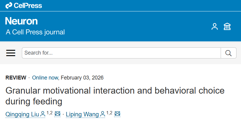 深港脑院 Neuron｜“民以食为天”：吃多少 vs. 如何吃——以“极致的颗粒度”刻画食欲