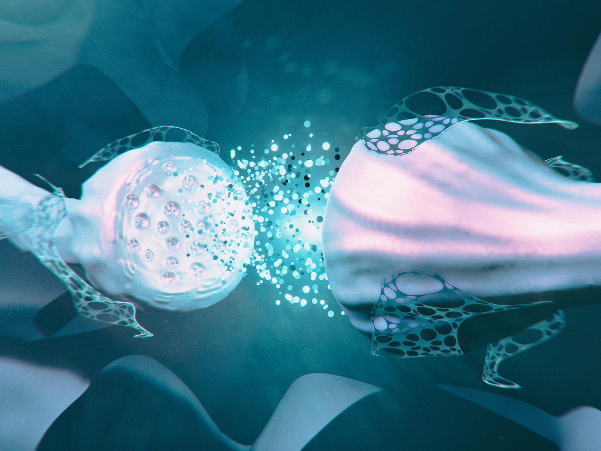 Interdisciplinary Center for Brain Information