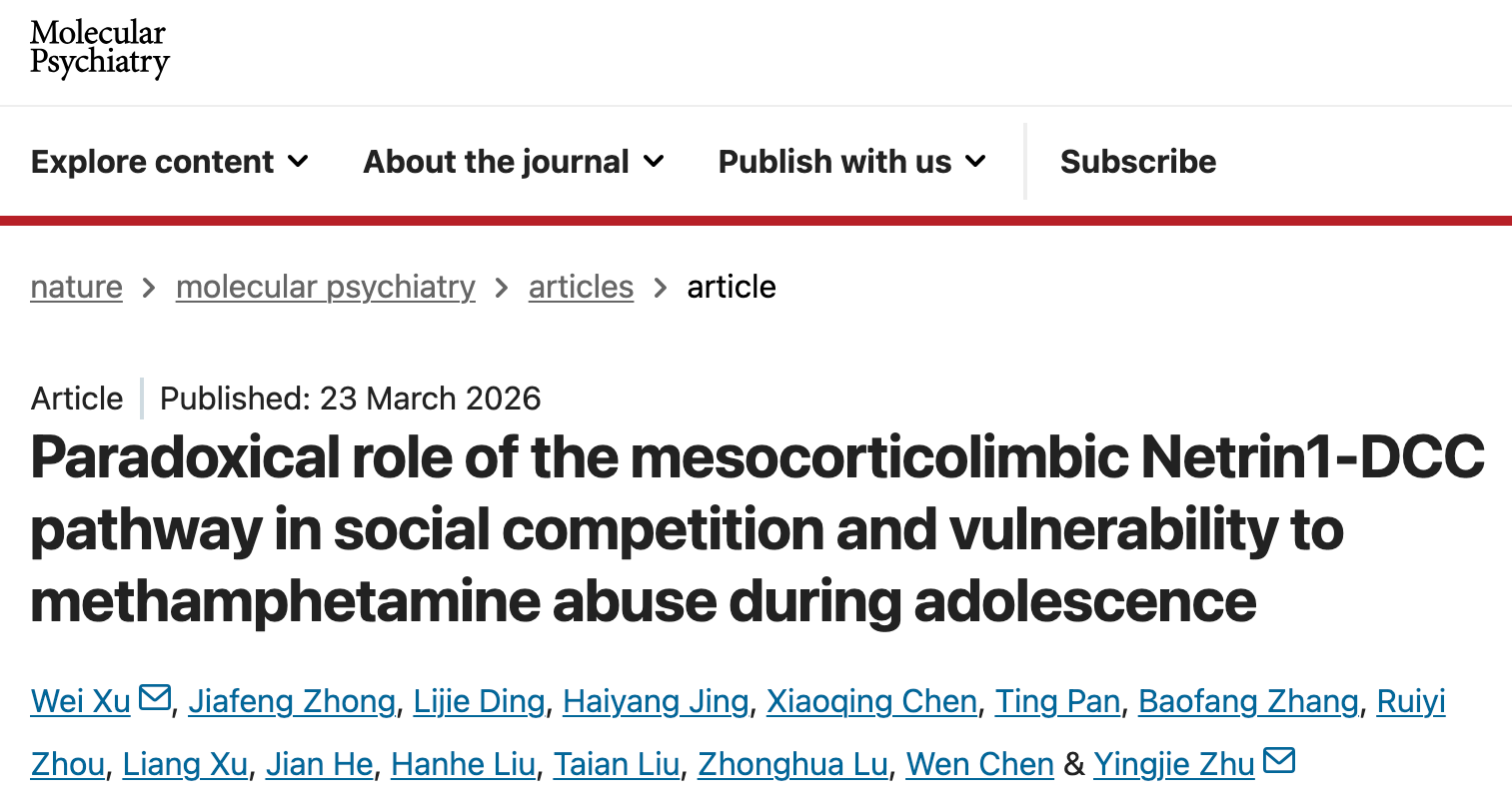 Molecular Psychiatry丨深圳先进院脑所/深圳理工大学朱英杰团队揭示青春期社会竞争影响成瘾易感性的分子机制