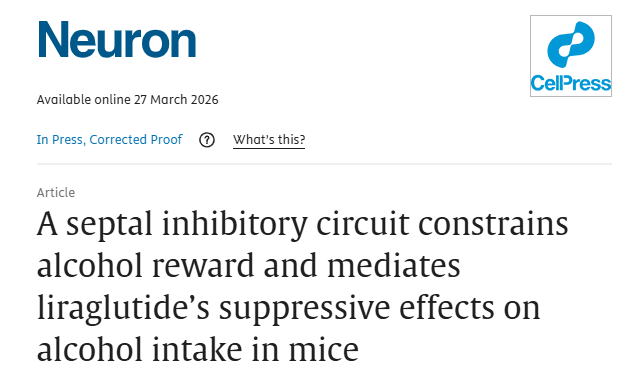 Neuron丨深圳先进院脑所/深港脑院朱英杰、陈子君团队揭示GLP-1类药物限制酒精奖赏与饮酒行为的关键机制